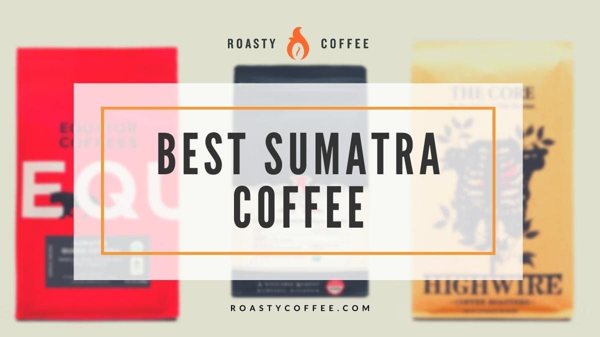 best sumatra coffee