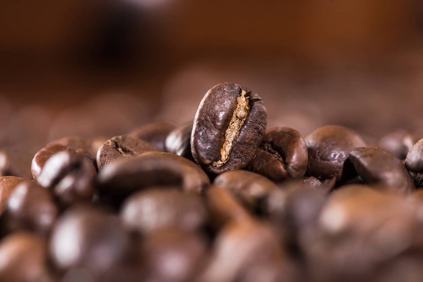 10 Best Non-Oily Coffee Beans To Add To Your Cart 1 Best Non Oily Coffee Beans