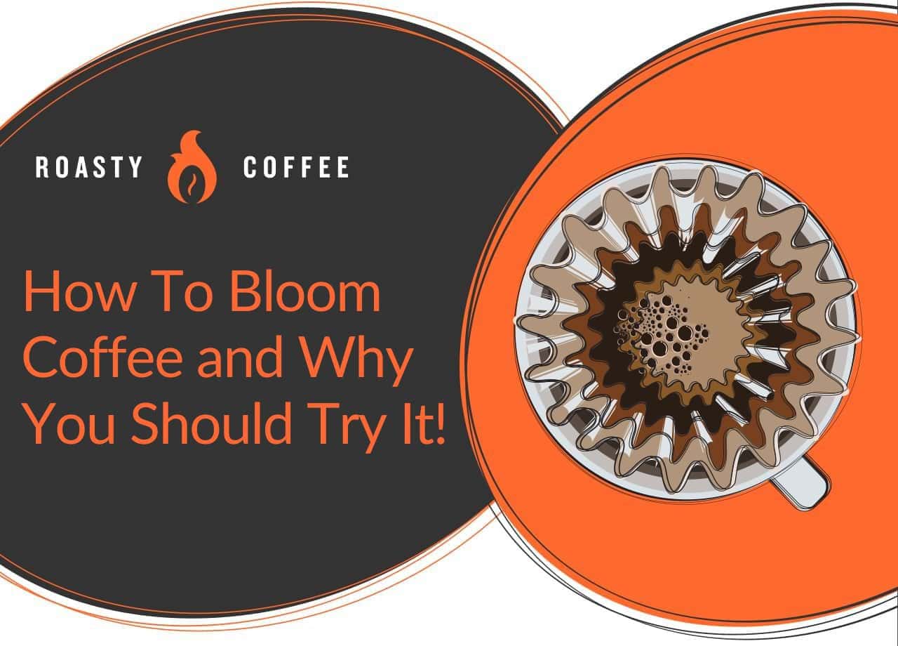 Coffee Bloom