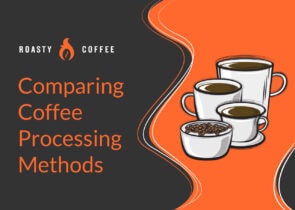 Comparing Coffee Processing Methods