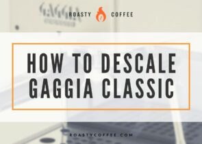 Descale Gaggia Classic