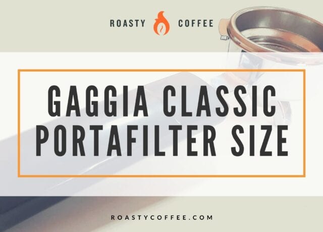 Gaggia Classic Portafilter Size