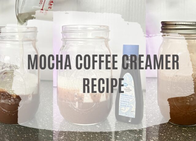 Mocha Coffee Creamer Recipe