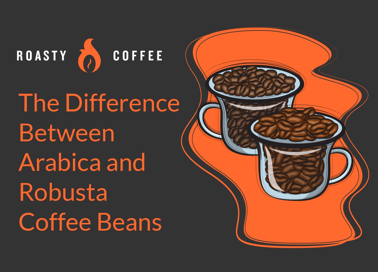 The Difference Between Arabica and Robusta Coffee Beans 