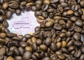 Cameroon Coffee