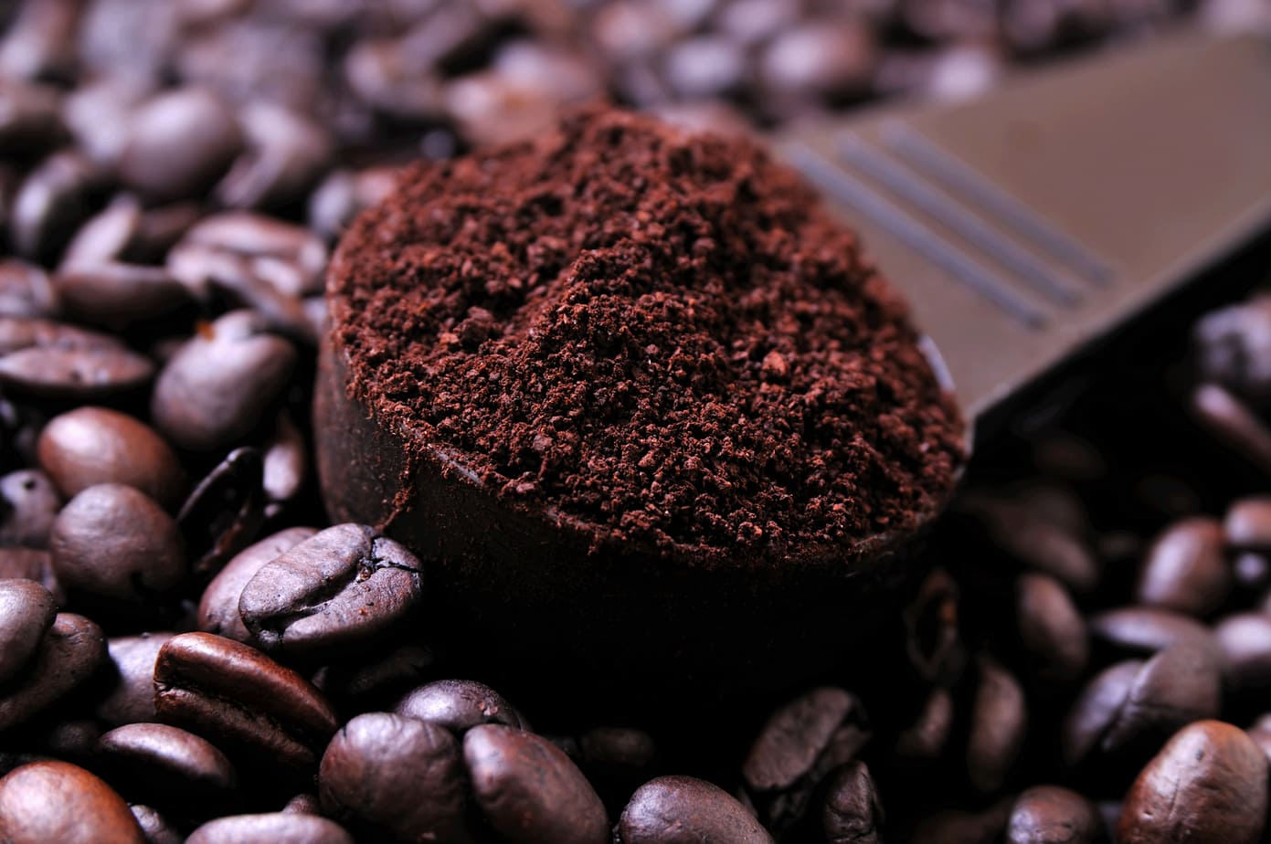 Mr. Coffee Burr Grinder Review: Can It Grind Up The Competition? 2 best dark roast coffee