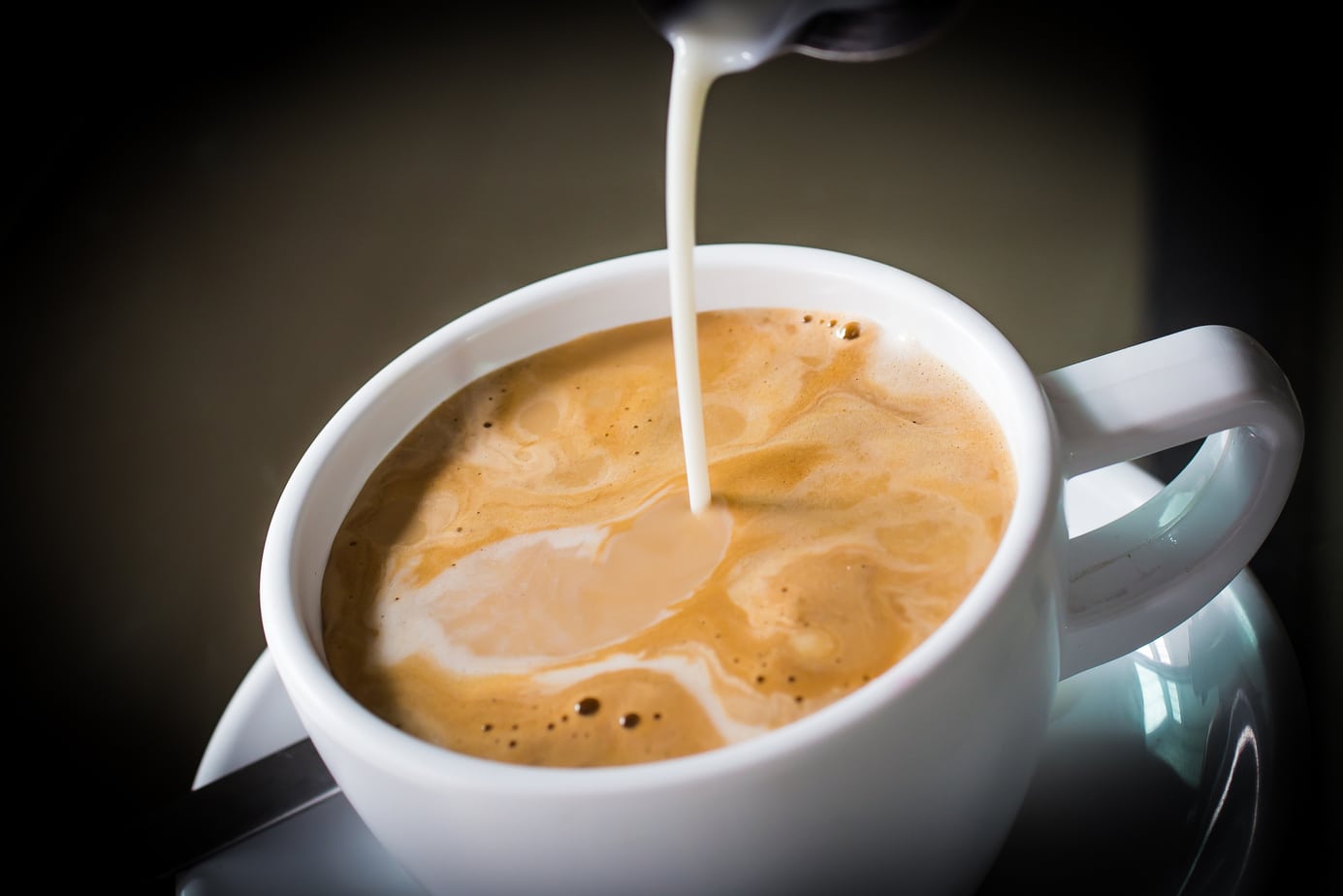 Best Powdered Coffee Cream To Make The Taste Last Longer